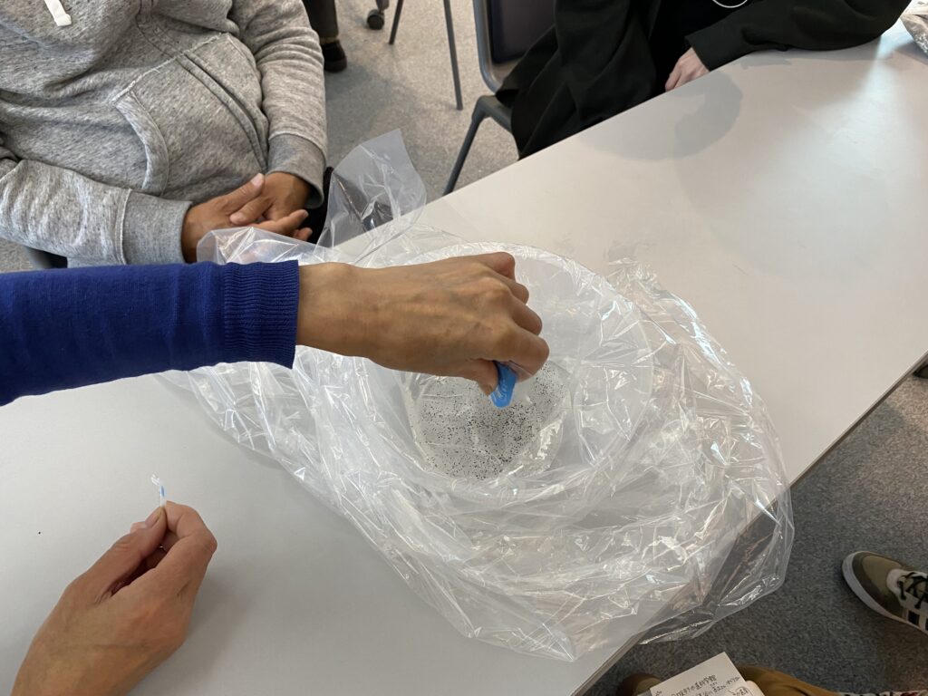 実験時の様子