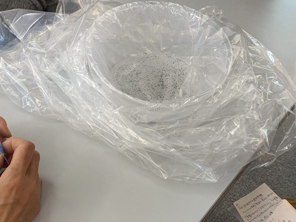 実験時の様子