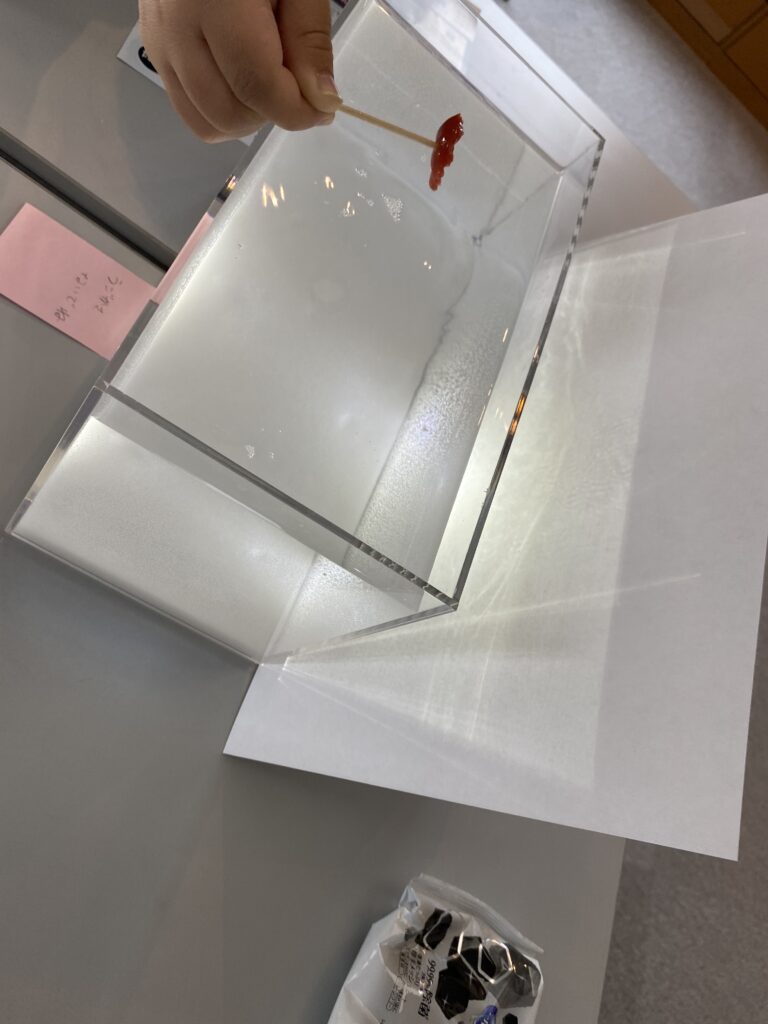 実験時の様子