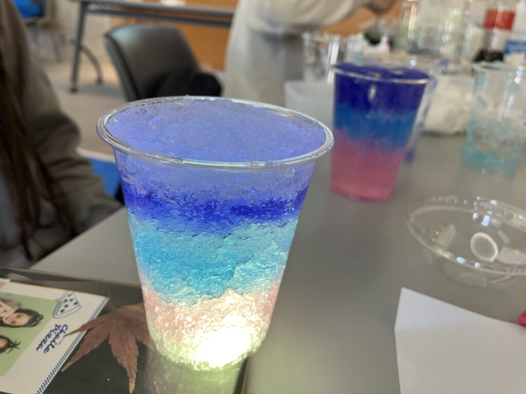 作品写真