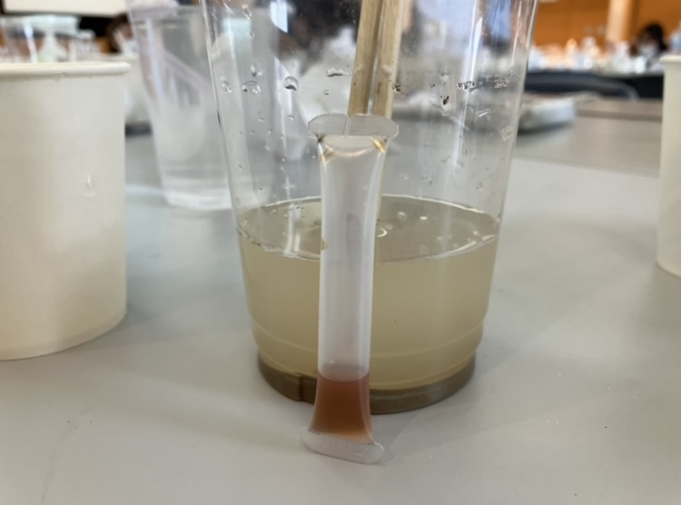 実験の様子