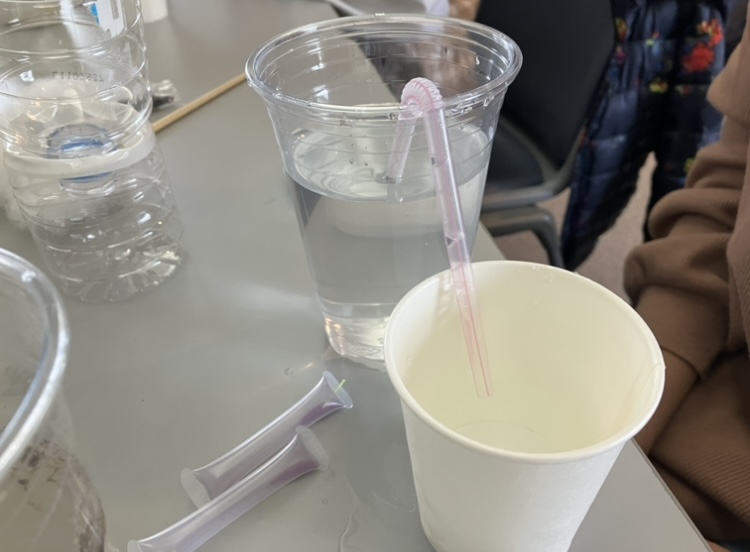 実験の様子