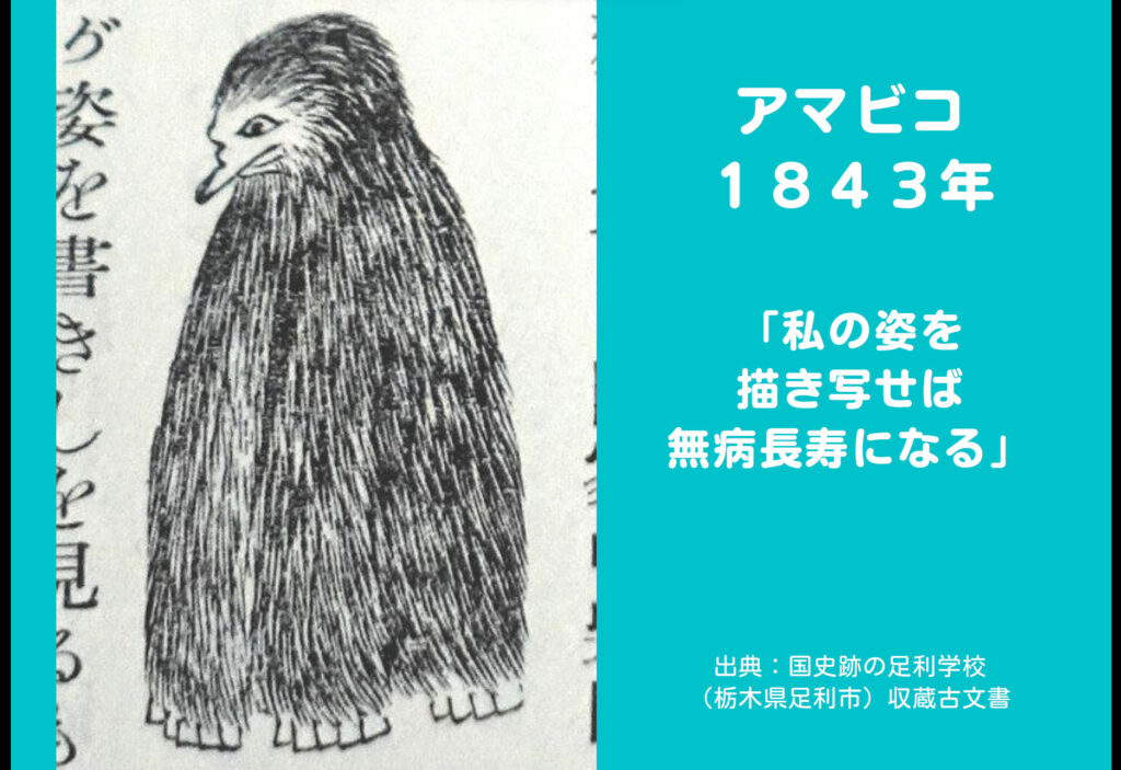 スライドの様子