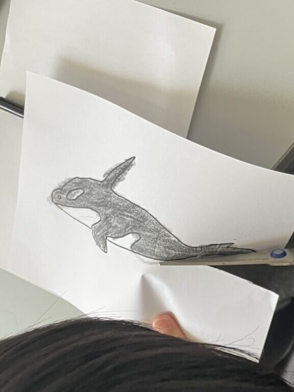 作品写真