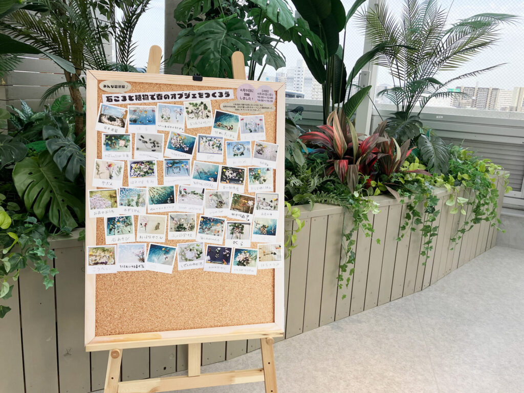 展示