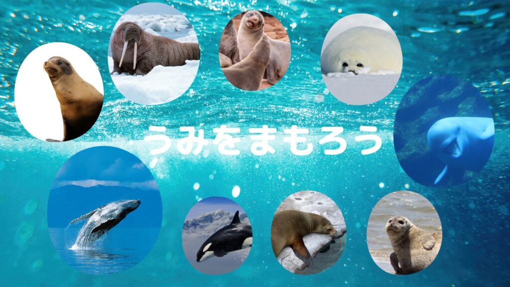 海獣スライド